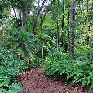 secluded-rainforest-haven-3-acres-sleeps-7.queenslandhotels.net/